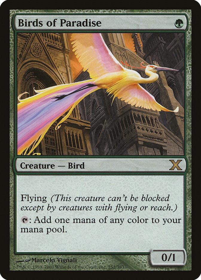 Birds of Paradise [Tenth Edition] - Rocket TCG
