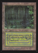 Bayou [International Collectors' Edition] - Rocket TCG