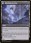 Blackbloom Rogue // Blackbloom Bog [Zendikar Rising] - Rocket TCG