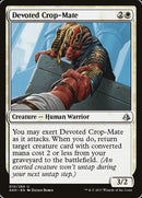 Devoted Crop-Mate [Amonkhet] - Rocket TCG