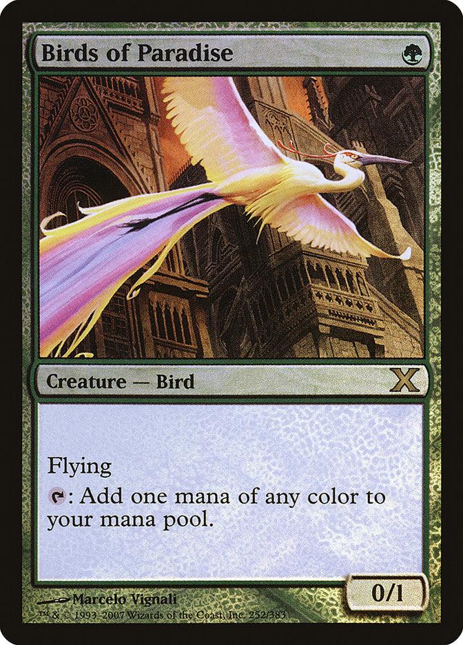 Birds of Paradise (Premium Foil) [Tenth Edition] - Rocket TCG