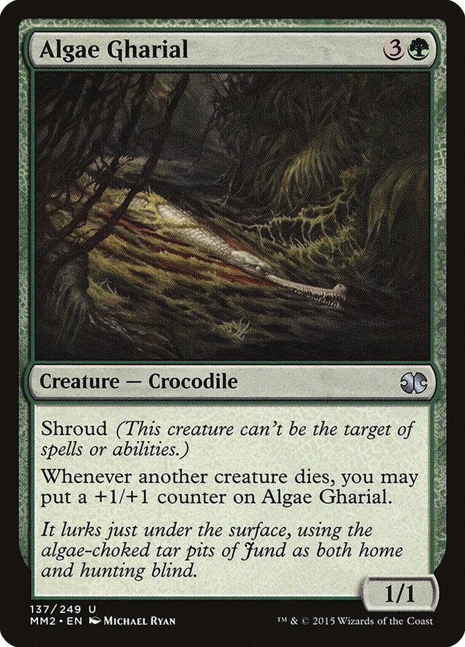 Algae Gharial [Modern Masters 2015] - Rocket TCG