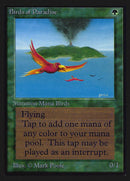 Birds of Paradise [International Collectors' Edition] - Rocket TCG