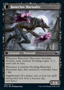 Baneblade Scoundrel // Baneclaw Marauder [Innistrad: Midnight Hunt] - Rocket TCG
