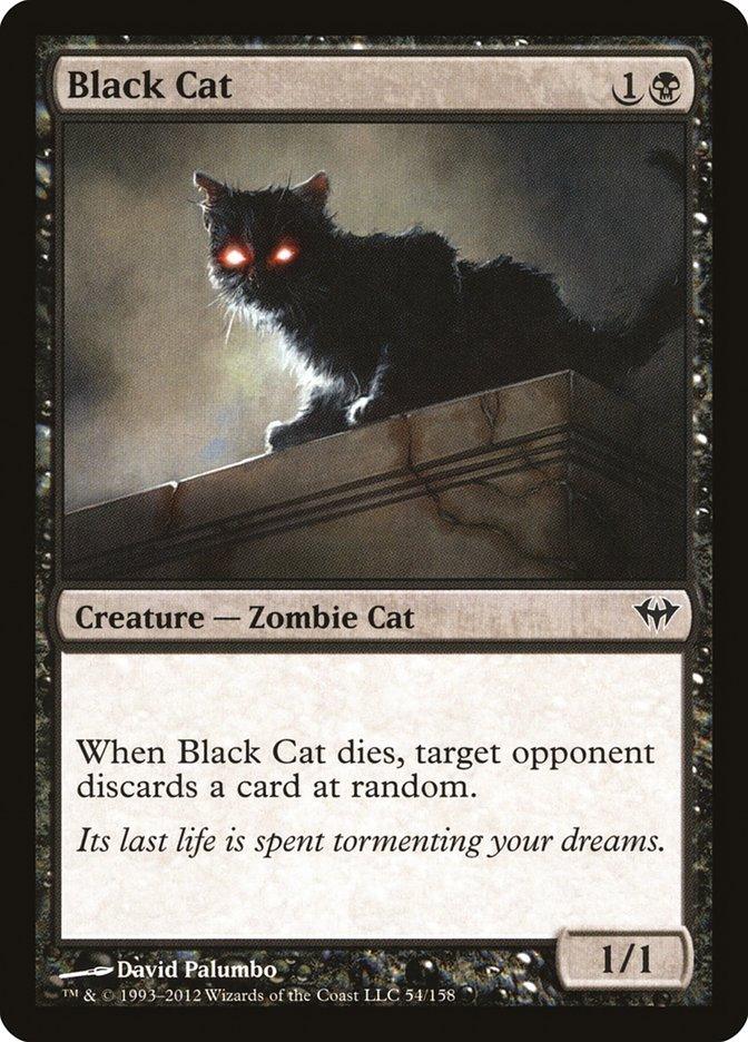 Black Cat [Dark Ascension] - Rocket TCG
