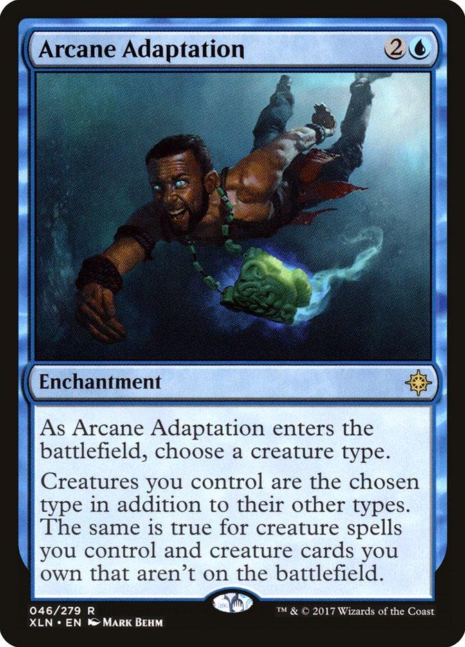 Arcane Adaptation [Ixalan] - Rocket TCG