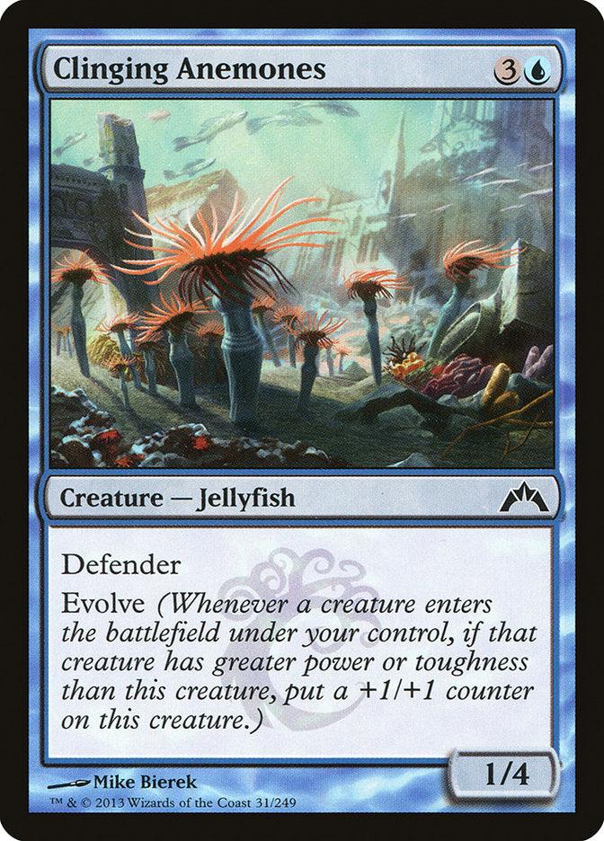 Clinging Anemones [Gatecrash] - Rocket TCG