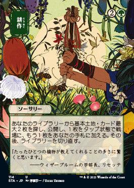 Cultivate (Japanese Foil Etched) [Strixhaven: School of Mages Mystical Archive] - Rocket TCG