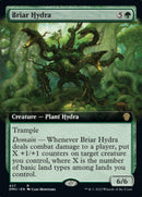 Briar Hydra (Extended Art) [Dominaria United] - Rocket TCG