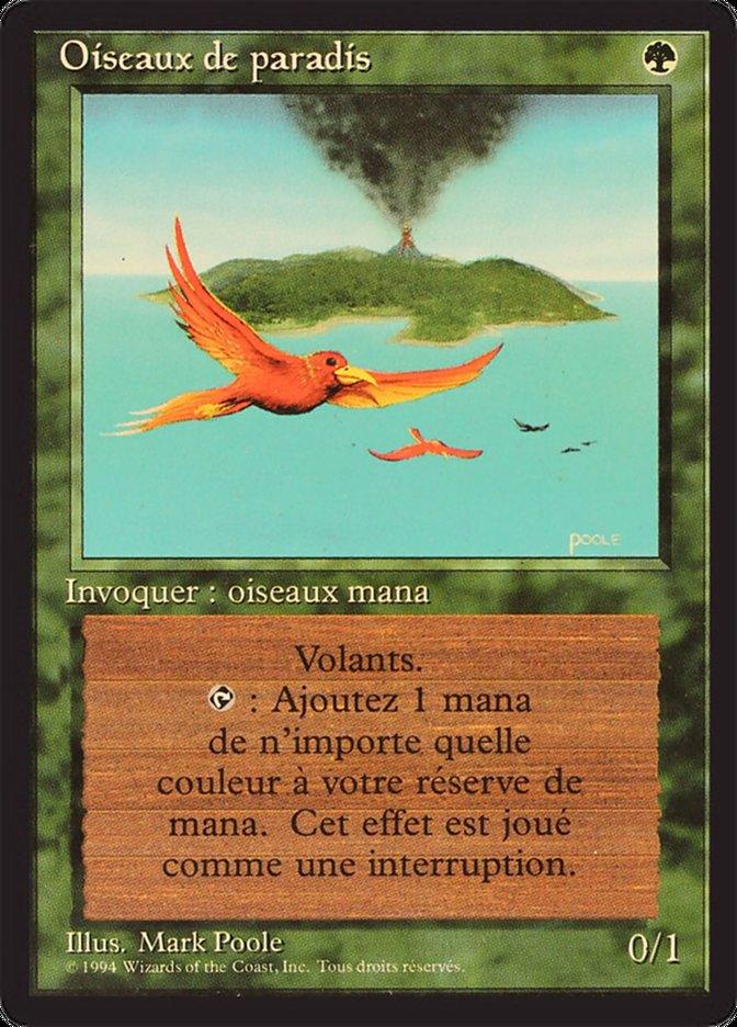 Birds of Paradise [Foreign Black Border] - Rocket TCG