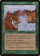 Durkwood Boars (French) - "Sangliers de Boissambre" [Renaissance] - Rocket TCG