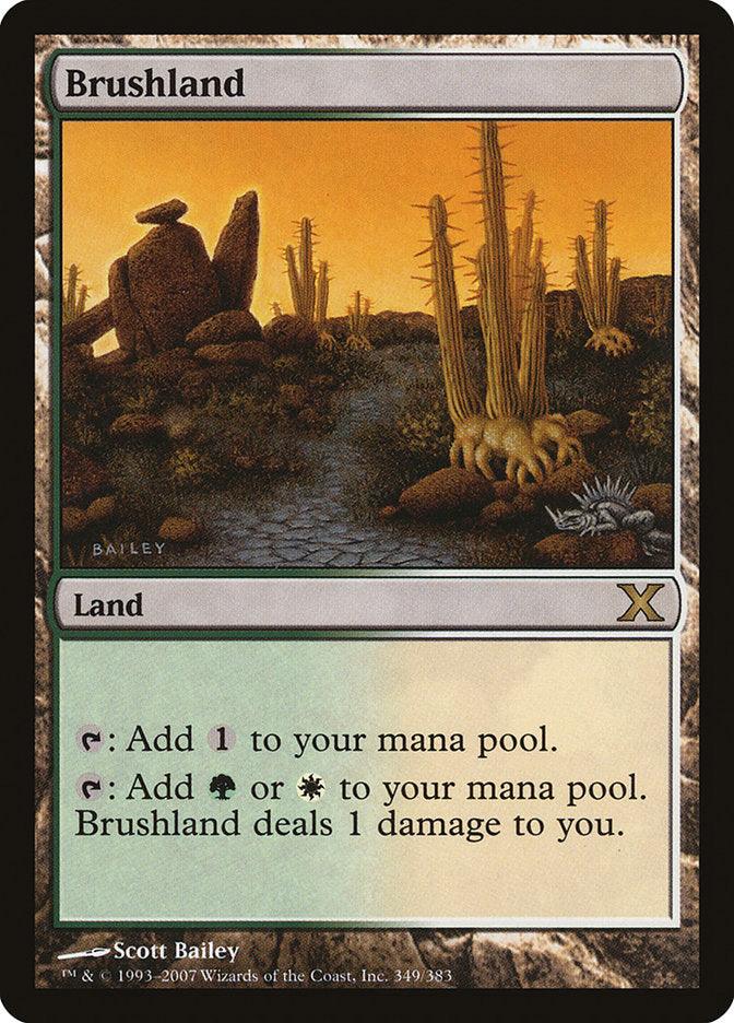 Brushland [Tenth Edition] - Rocket TCG