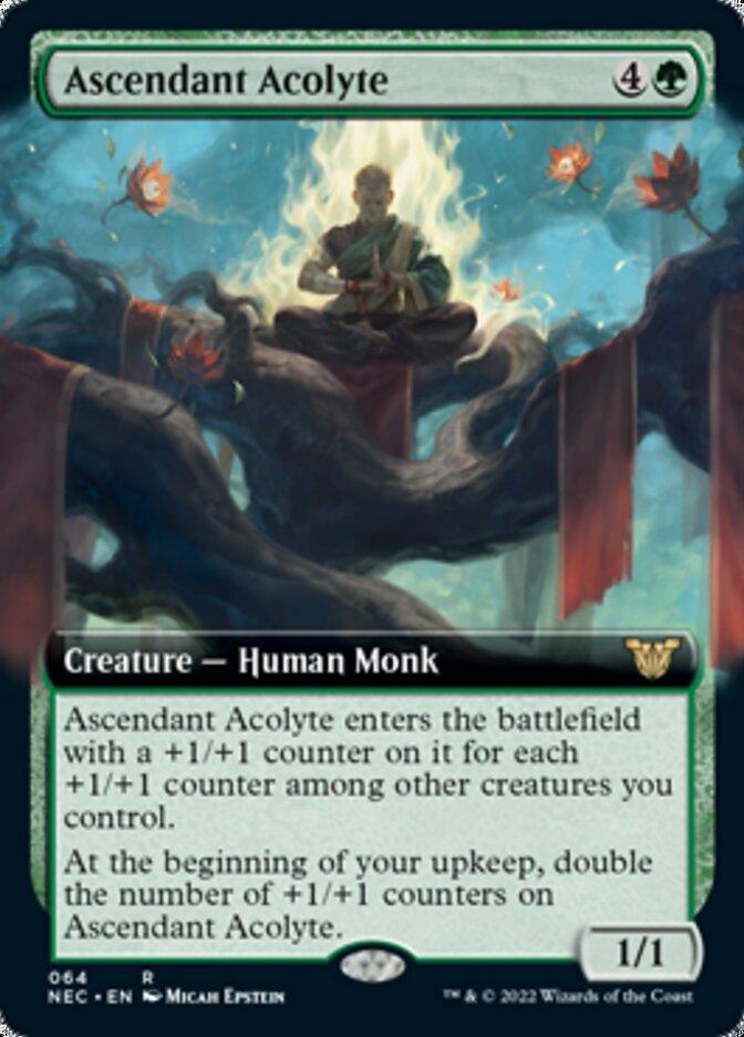 Ascendant Acolyte (Extended Art) [Kamigawa: Neon Dynasty Commander] - Rocket TCG