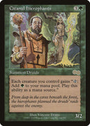Citanul Hierophants [Urza's Saga] - Rocket TCG